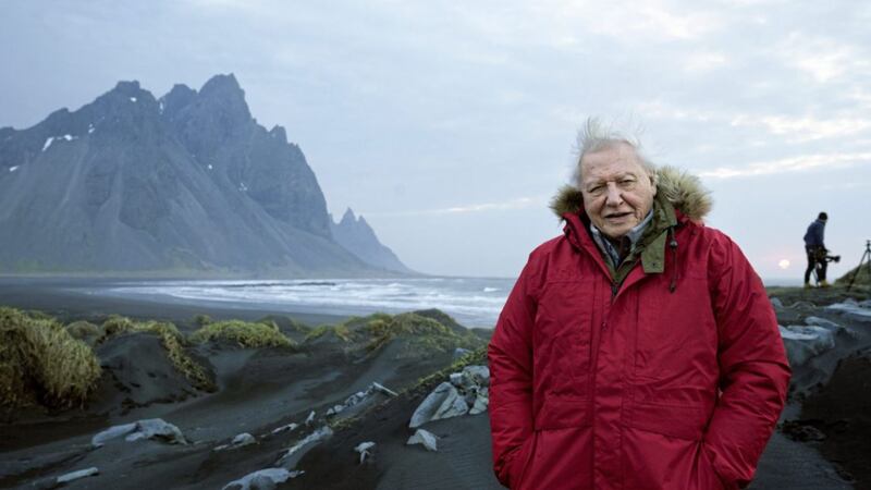 Sir David Attenborough presents new BBC natural history series Seven Worlds, One Planet, which begins tomorrow 
