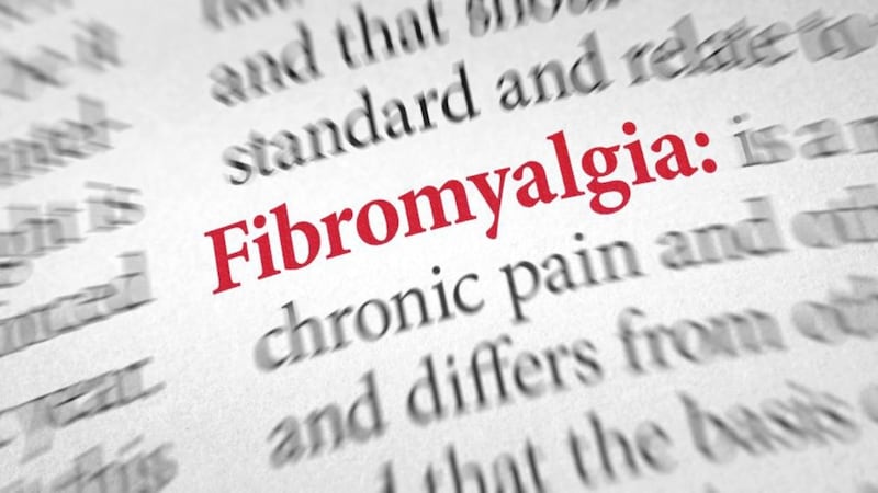 Definition of the word Fibromyalgia in a dictionary 