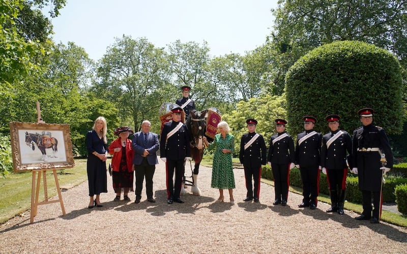 Royal naming of new Household Cavalry Drum Horse