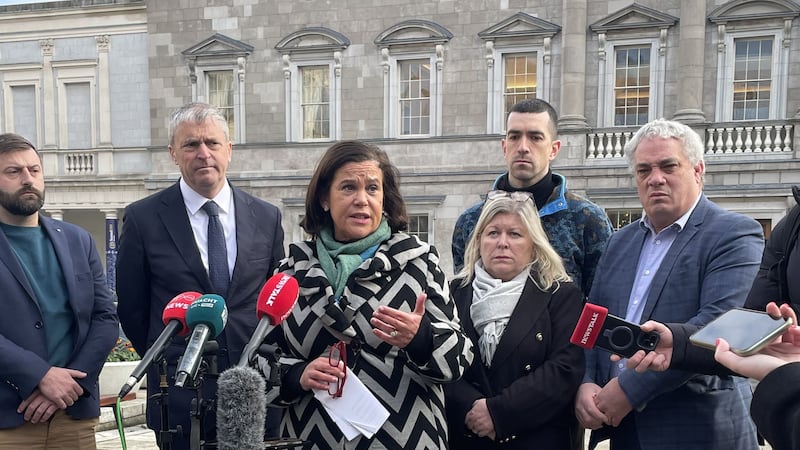 Sinn Fein leader Mary Lou McDonald speaking to the media outside Leinster House (PA)