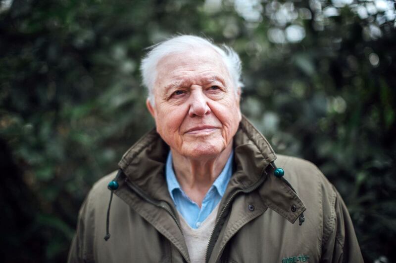 Sir David Attenborough comments