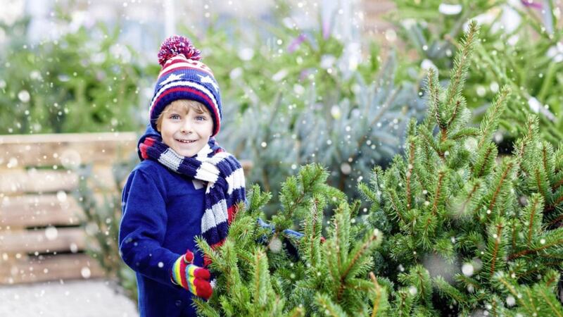 Get a &pound;20 voucher when you buy a Christmas tree for &pound;25 from Ikea 