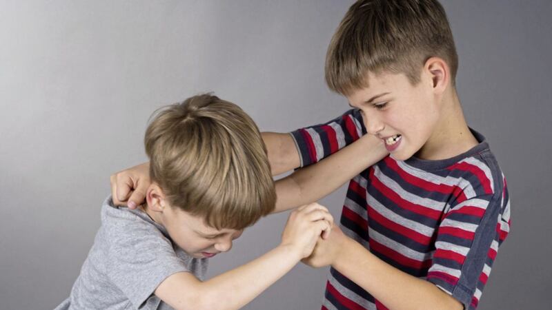 Siblings fighting can be an example of sibling cooperation rather than sibling rivalry, indicating they have learned how to work together to gain a parent&#39;s attention 