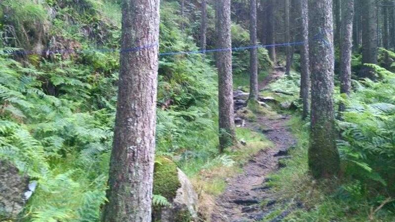 Traps were laid at Kilbroney Park, Rostrevor for mountain bikers ahead of the Vitus First Tracks Endurance Cup 