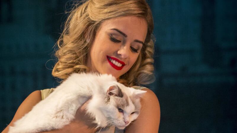 Georgia May Foote and Bob the cat in Breakfast at Tiffany&#39;s 