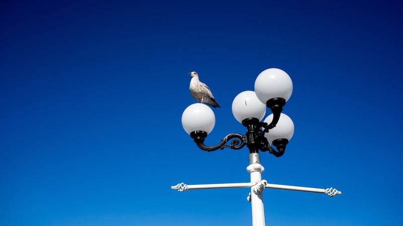 The country is to test sensors and AI in lampposts.