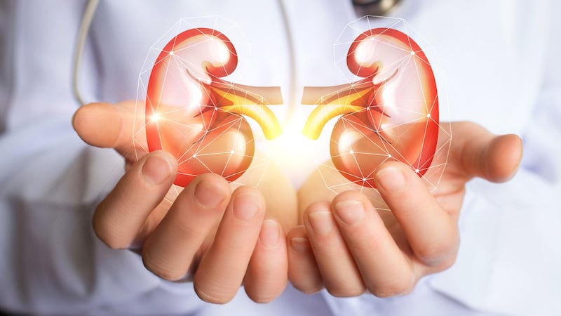 Scientists say there is a clear link between air pollution and the development of kidney disease.