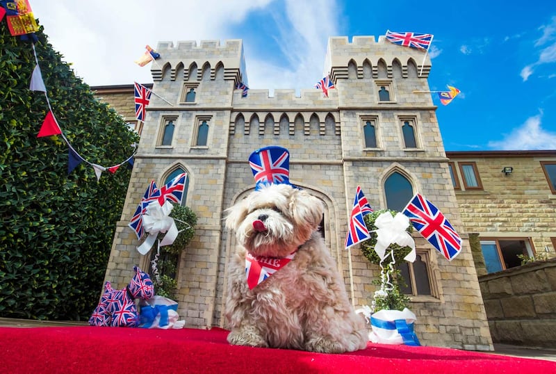Windsor Castle replica for dog