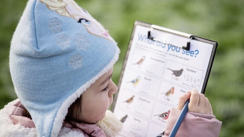 Big Schools&#39; Birdwatch is a fun, educational activity and is free to every school 