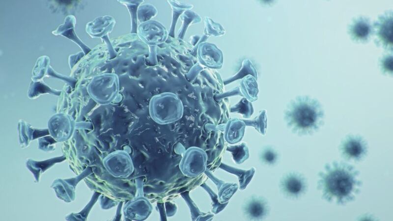 There were another 16 coronavirus deaths in the north 