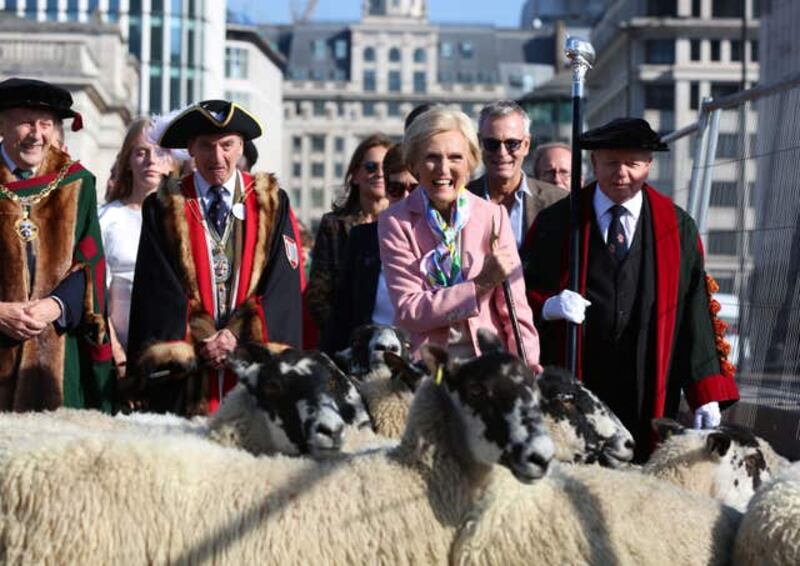 Mary Berry herds sheep in London