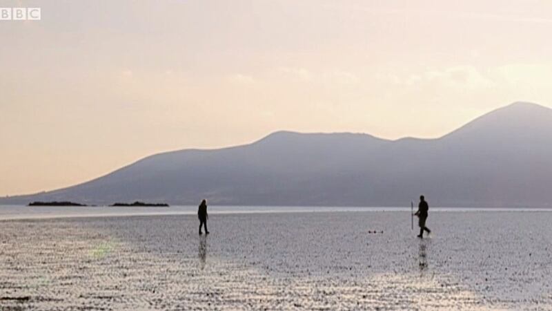Dundrum Bay in Co Down has seen a statistically significant deterioration in shellfish flesh 
