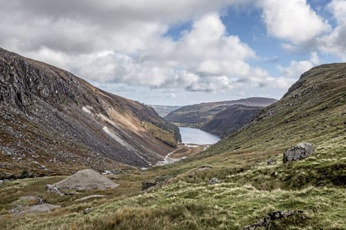 Take on Nature: Starlings in the roof space are enough to try the patience of a saint