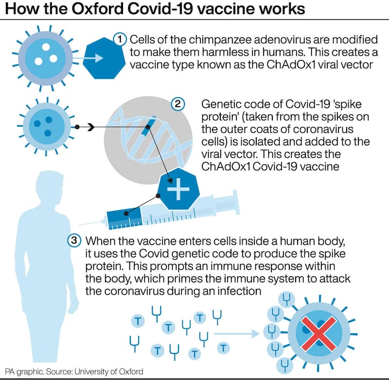 How the Oxford Covid-19 vaccine works