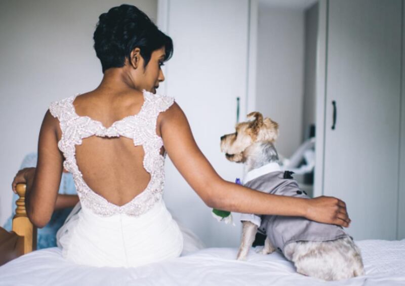 This couple’s dog absolutely stole the show at their wedding
