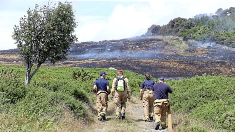 Firefighters tackle a gorse fire at Drinnahilly in Newcastle. Picture by Mal McCann 