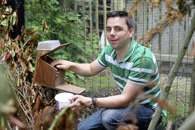 St Francis&#39; Primary School in Lurgan teacher Dwyer Coleman at the red squirrel sanctuary at the school. Picture by Mal McCann 