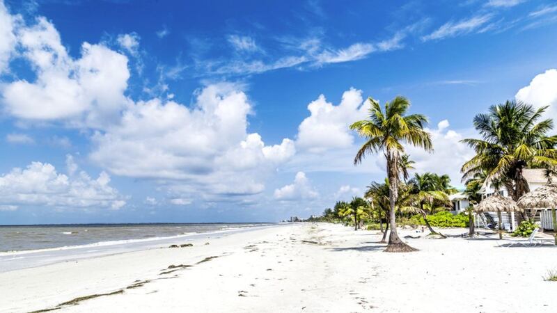 Holidaymakers can laze in a foodie daze on the beach at Fort Myers in Florida 