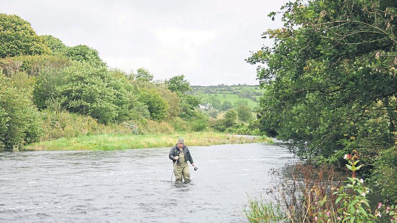 Nice water for an early autumn salmon on the Owenkillew above Gortin, Co Tyrone