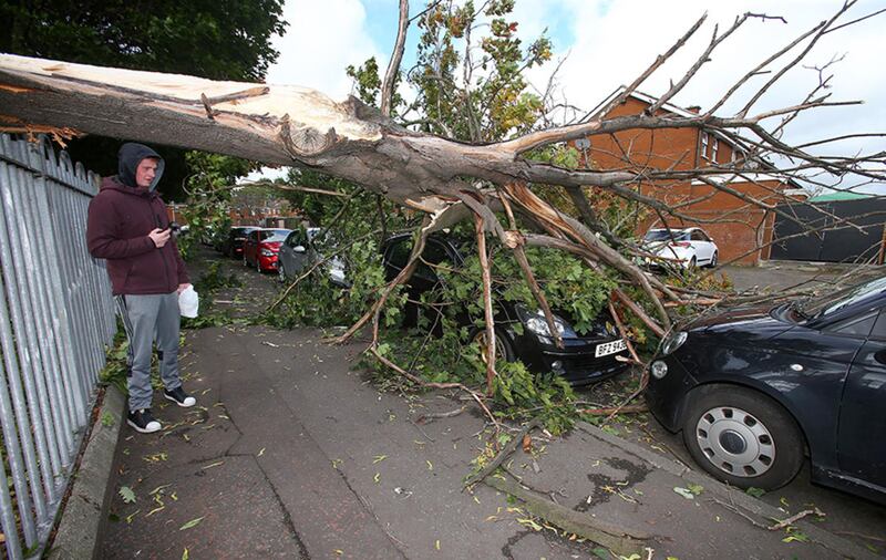 Three cars in Townsend Street damaged after a tree fell on them during Storm Ali. Picture by Mal McCann&nbsp;