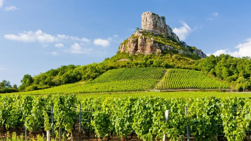 <b>IN VINO VERITAS:</b> The Roche de Solutr&eacute; in Burgundy with the M&acirc;con vineyards in the foreground is one place you could visit on a fact-finding mission to discover all you can about French wine