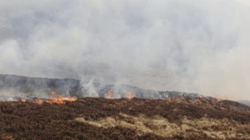 More than 100 firefighters worked to put out a gorse fire in the Mourne Mountains  