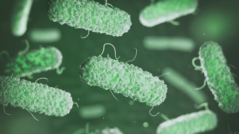 Microbiologist Dr Tim Planche debunks some misconceptions about microbes.