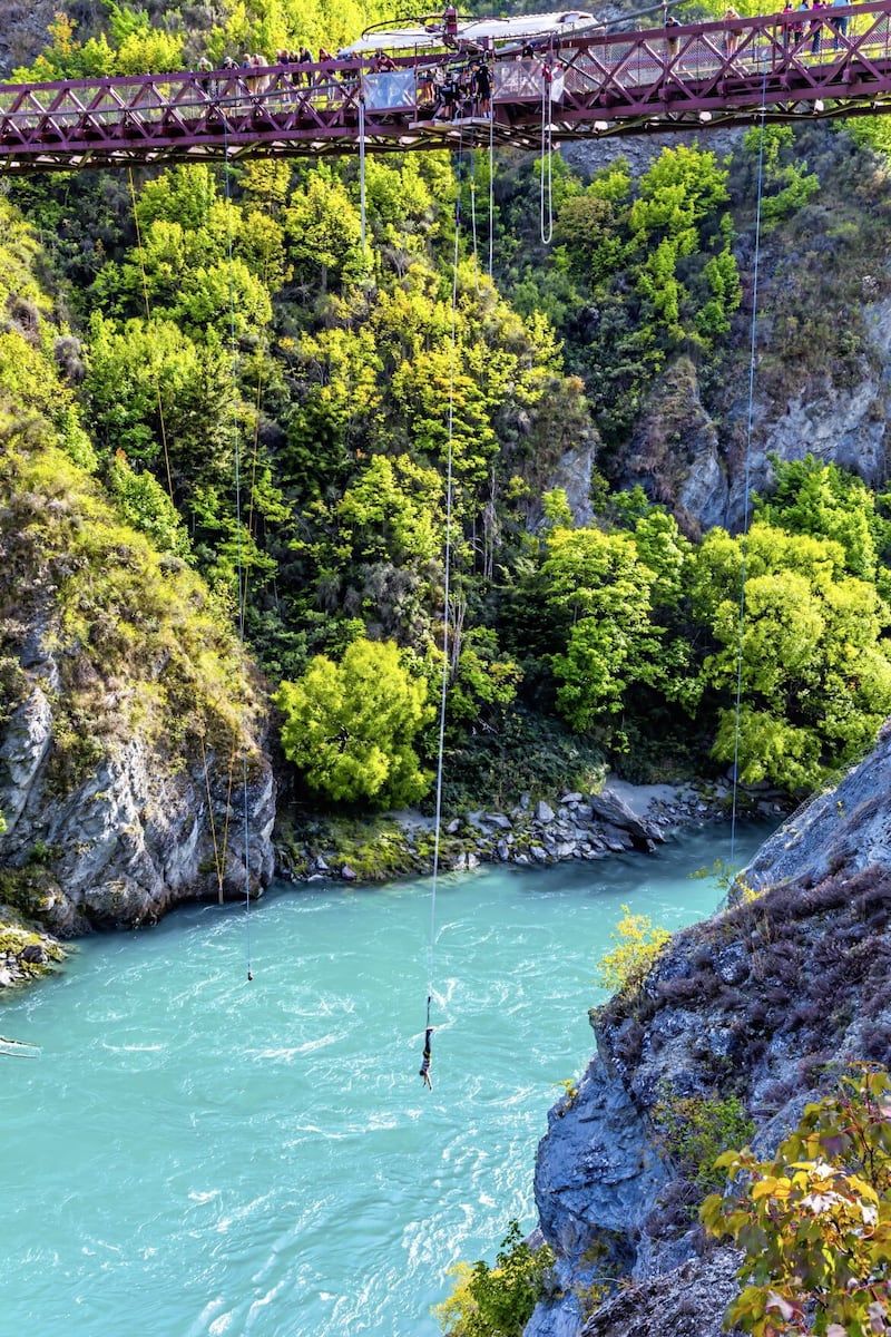 Bungee jumping was invented in New Zealand and Kiwis take it very seriously... 