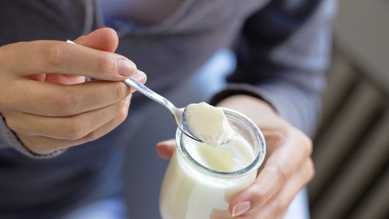 Eating foods beneficial to the microbes in our gut, such as widely available live yoghurt, helps our body get back to normal functioning after a course of antibiotics 