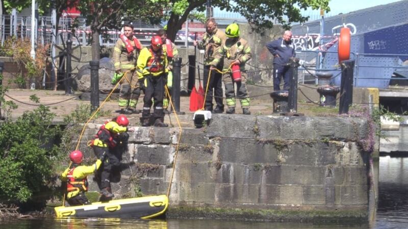 The animal was brought back to dry land in Edinburgh on Monday afternoon.
