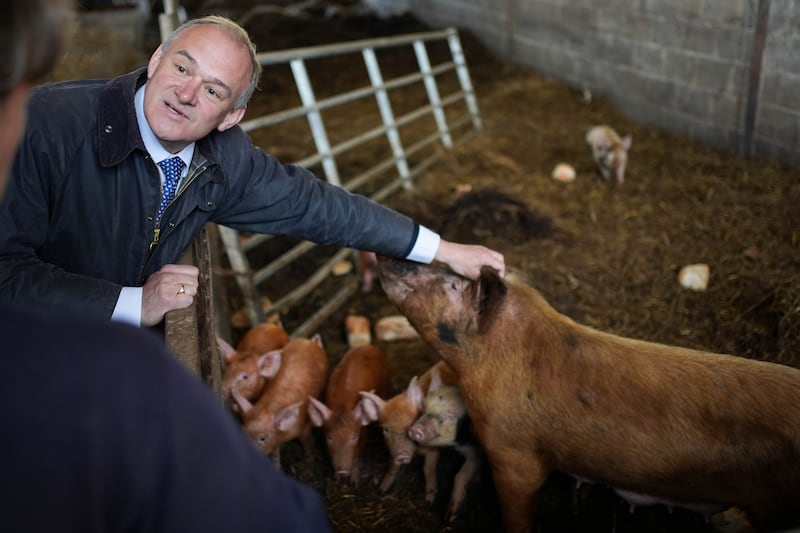 Liberal Democrat leader Sir Ed Davey during a visit to Treflach Farm in Treflach, Shropshire