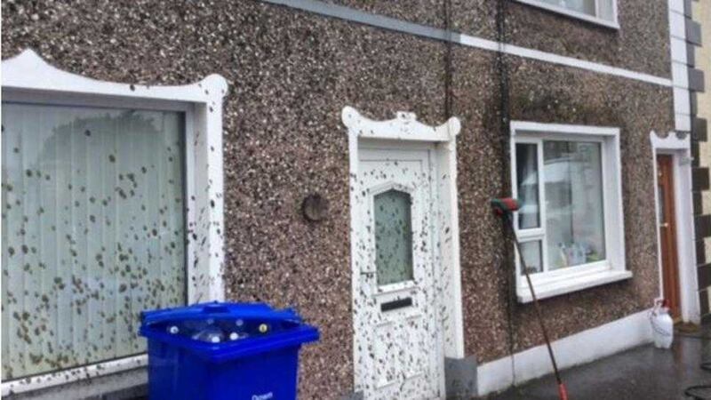 Buildings in Crossgar, Co Down, were sprayed with sludge. Picture from Terry Andrews/UTV 