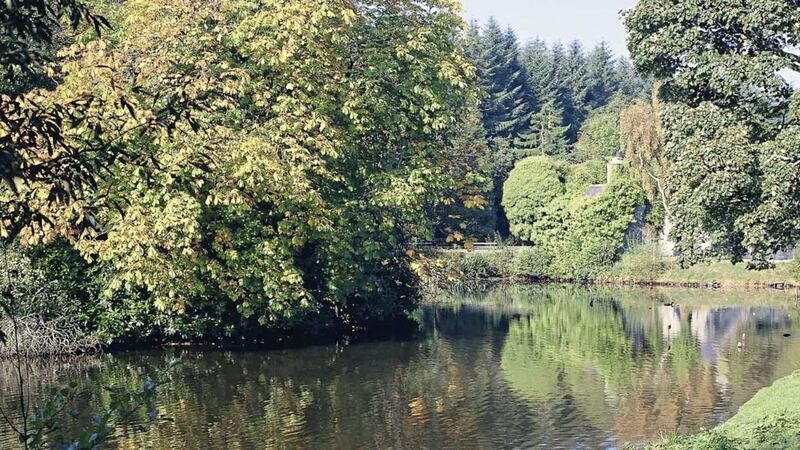 Gosford Forest Park in Co Armagh 