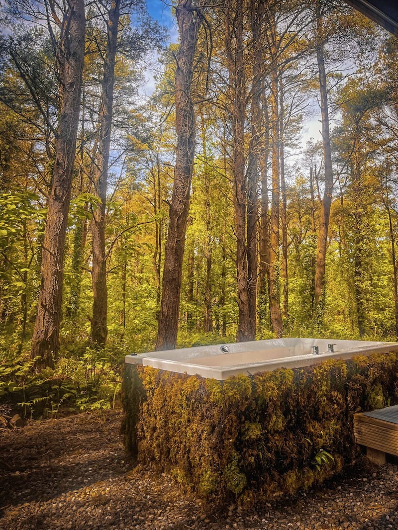 A forest bath 