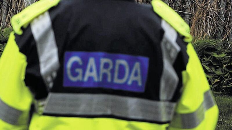 Garda&iacute; searching for the remains of a convicted rapist have found a human torso in a Dublin park 
