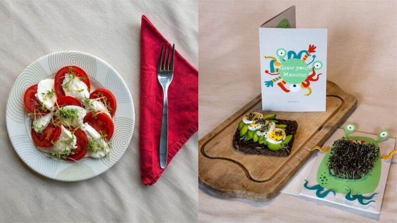 Danish start-up Clorofille has developed an ingenious way to create edible greens out of greetings cards.