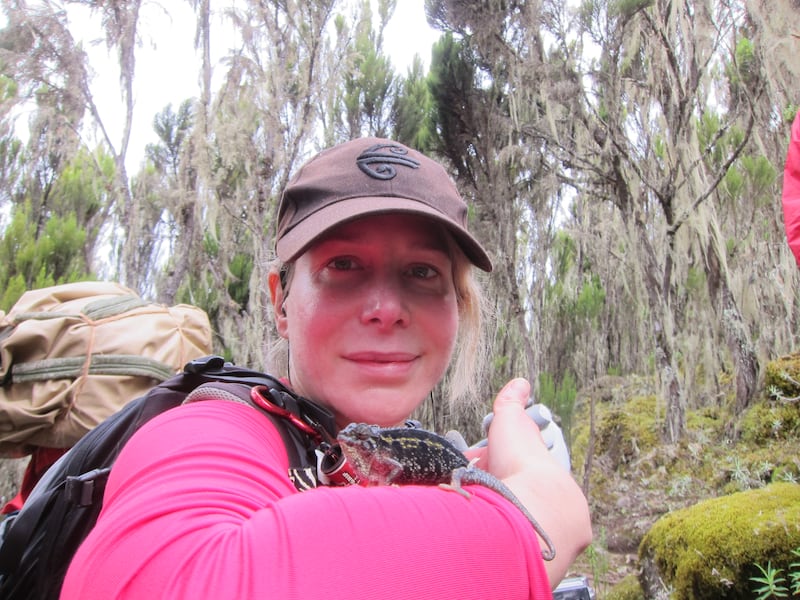 Vanessa poses with a lizard at Mount Kilimanjaro - Vanessa is wearing a pink top, balancing a lizard on her forearm. She is wearing a brown cap, and there are trees in the background