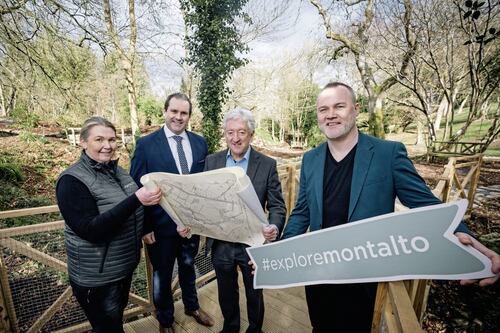 ‘Lost’ garden discovered on historic Co Down estate to be opened to the public 