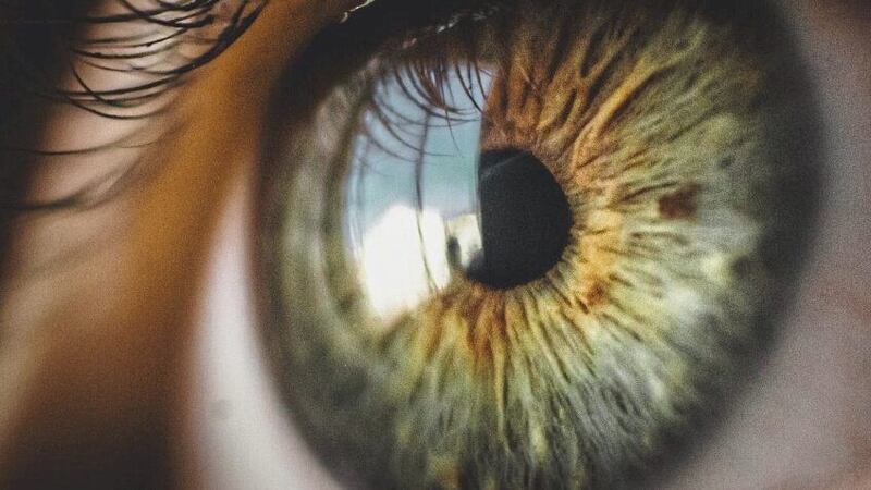 The experts have uncovered how the retina is damaged during the early stages of diabetes 