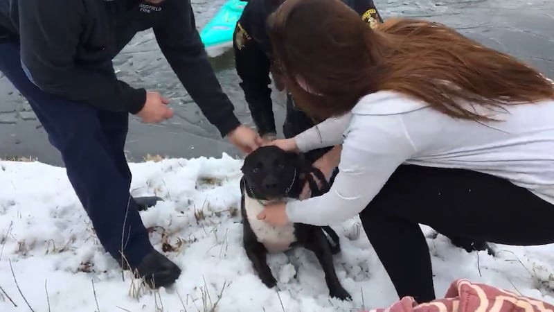 Video shows the dog being pulled from the icy water by a police officer.