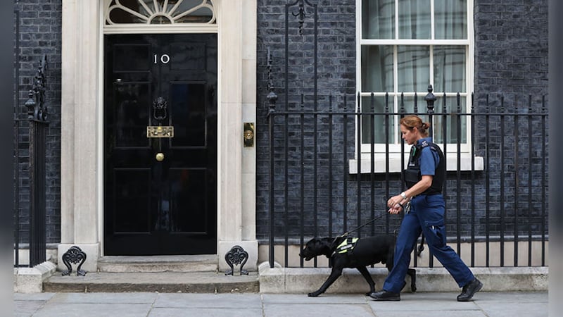 A police sniffer dog walks past 10 Downing Street in London, as Theresa May's future as British prime minister and leader of the Conservatives was being openly questioned after her decision to hold a snap election disastrously backfired. Picture by&nbsp;Jonathan Brady/PA Wire