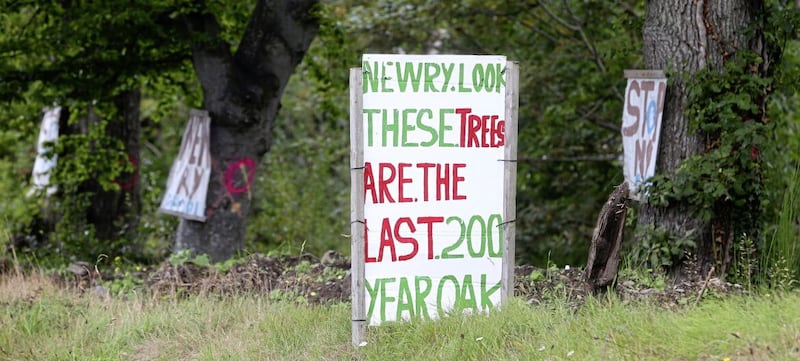 A protest at the site where the 200 year old oak trees were under threat of being felled. Picture Mal McCann. 