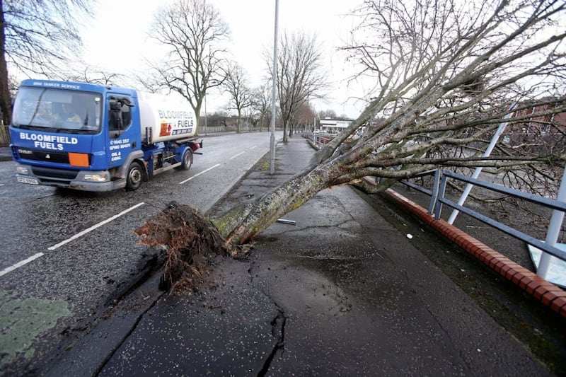 A tree blocks the footpath on the Ormeau Embankment after Storm Eleanor Belfast Picture Mal McCann. 