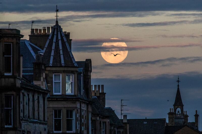 The pink supermoon is seen setting behind the rooftops in Edinburgh