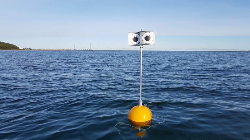 The looming-eyed buoy device reduced the number of long-tailed ducks diving nearby and will now be tested in a gillnet fishery.