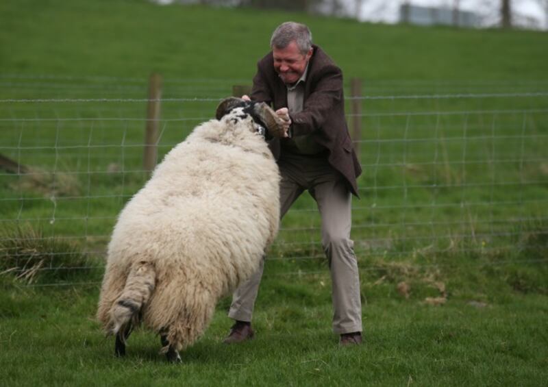 rennie and a ram (Andrew Milligan/PA)