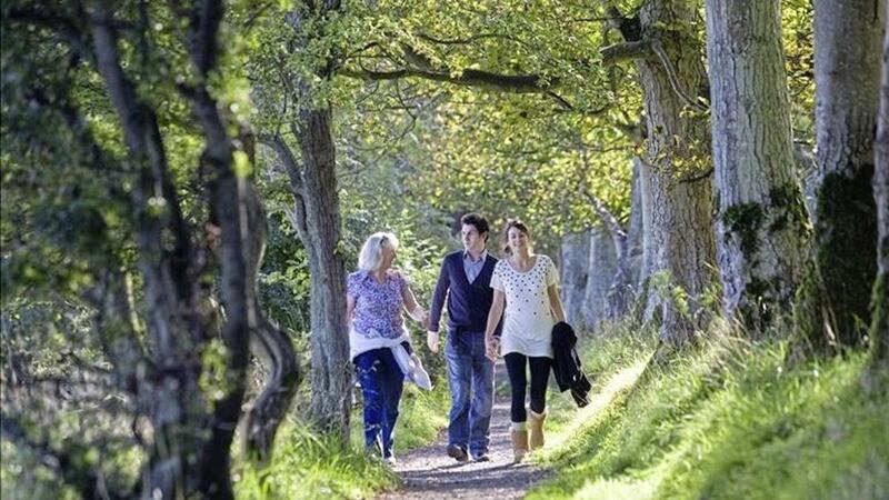 Carnfunnock Country Park in Larne is among those in the running for the title 