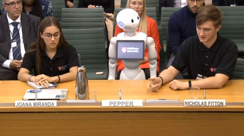 Robot appears before select committee
