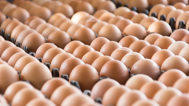 Eggs are among the half-price groceries at Eurospar 
