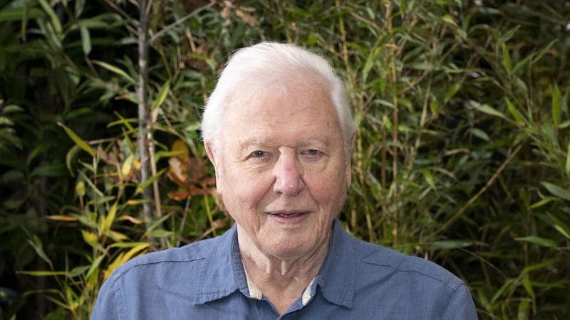 Sir David Attenborough will officially be made Knight Grand Cross days after featuring in the Platinum Jubilee concert.
